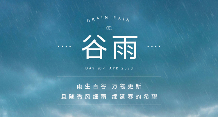 今日谷雨