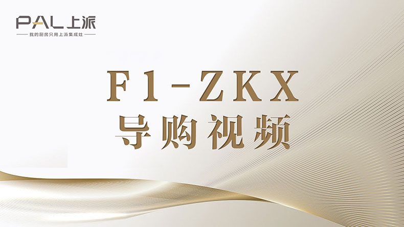 F1-ZKX-導(dǎo)購(gòu)視頻11